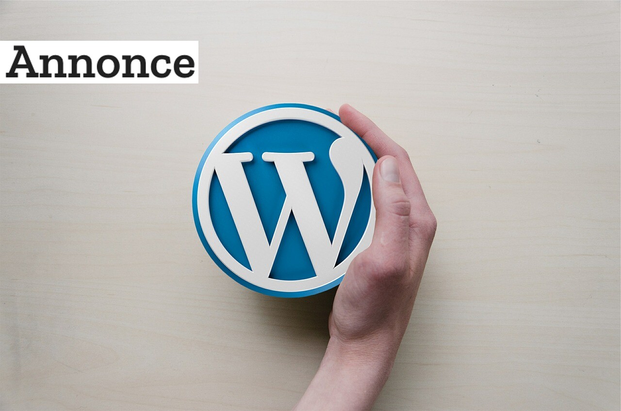 Vidunderlige WordPress – derfor bør du bygge din hjemmeside i WP